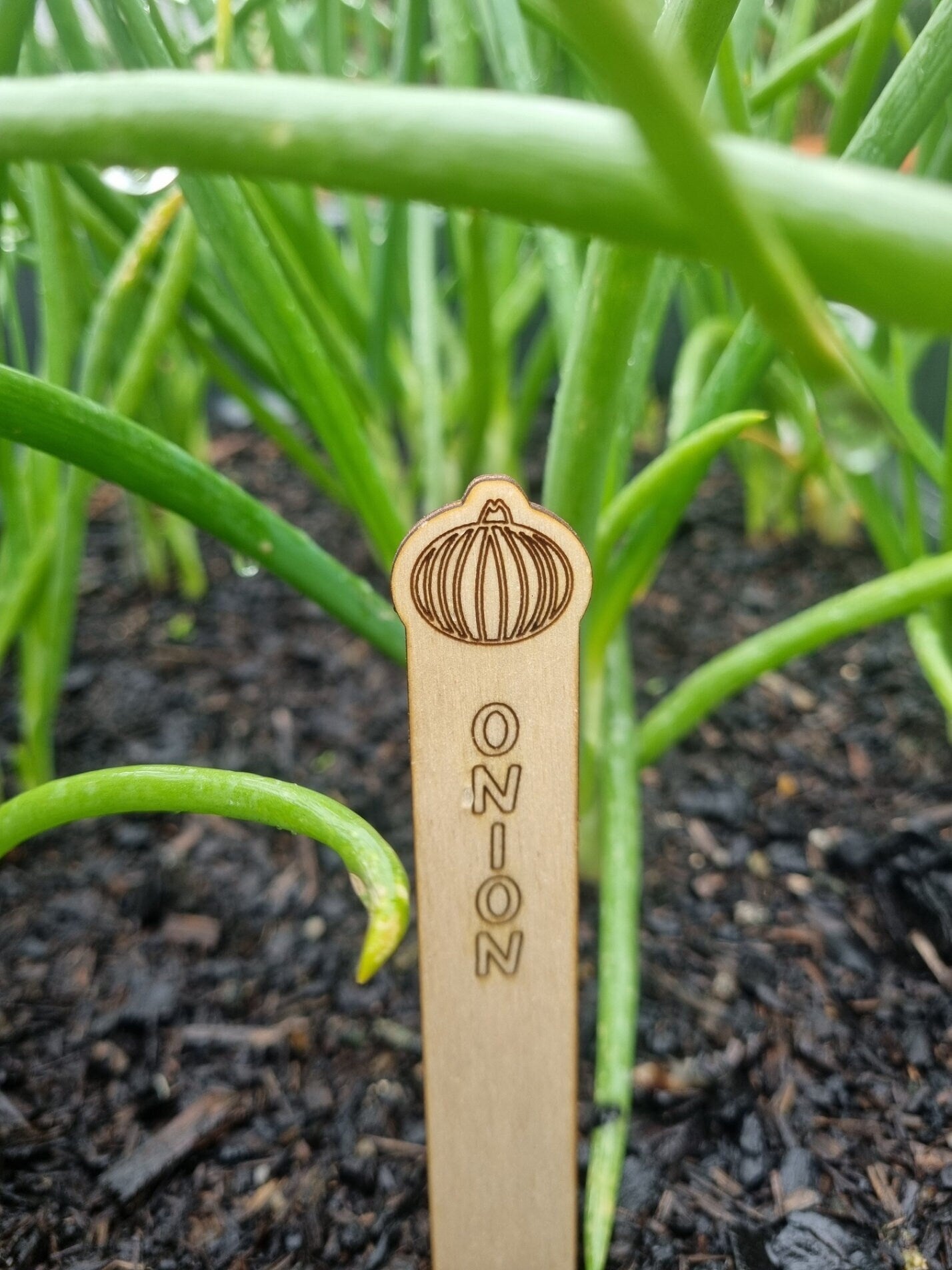 Garden Decor & Gifts