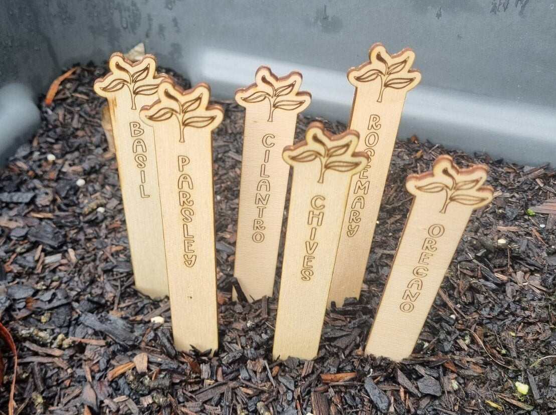 Vegetable Garden Engraved Label Set, Herb Garden Markers, Garden Decoration, Eco Friendly Plant Sign