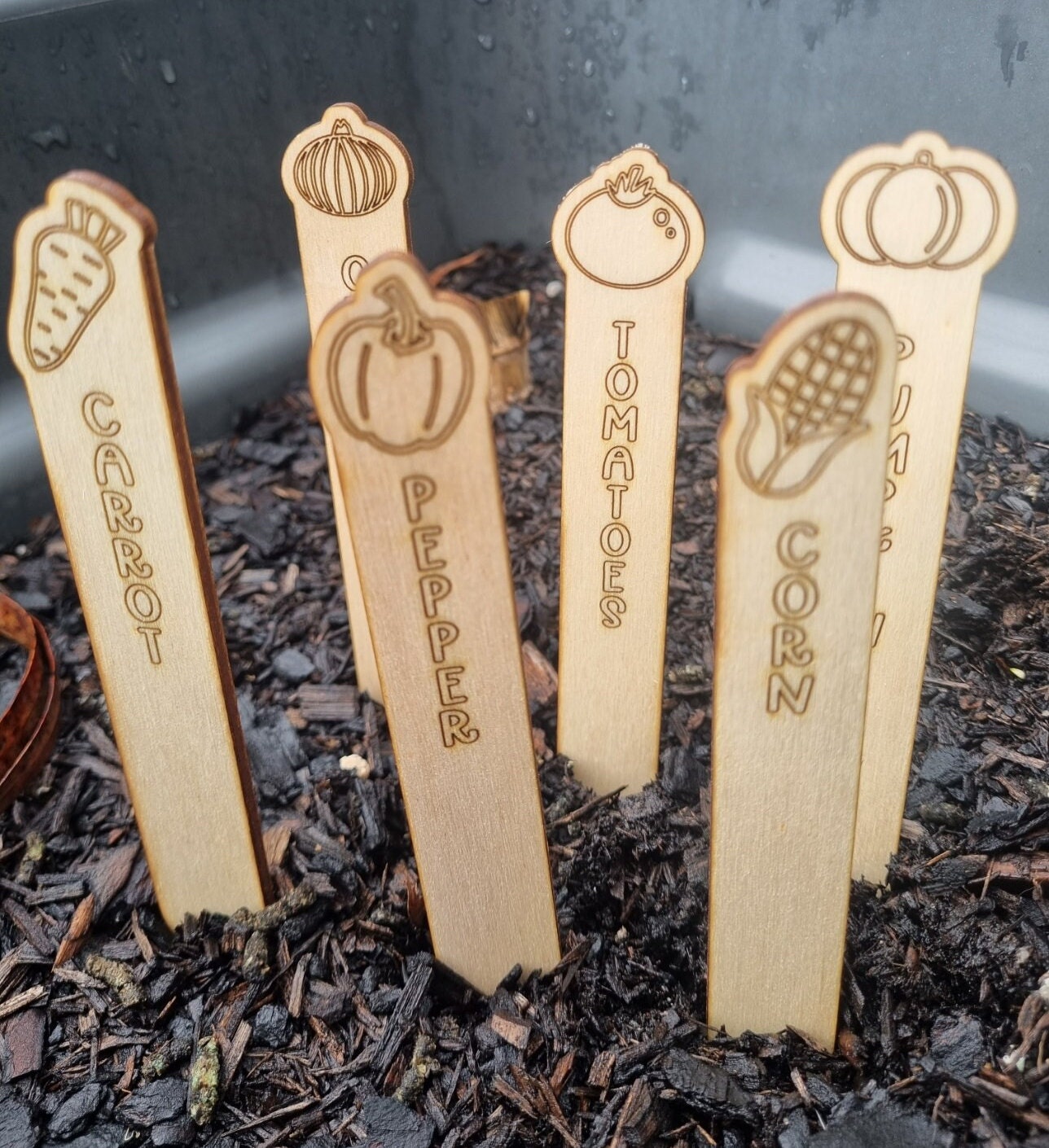 Vegetable Garden Engraved Label Set, Herb Garden Markers, Garden Decoration, Eco Friendly Plant Sign