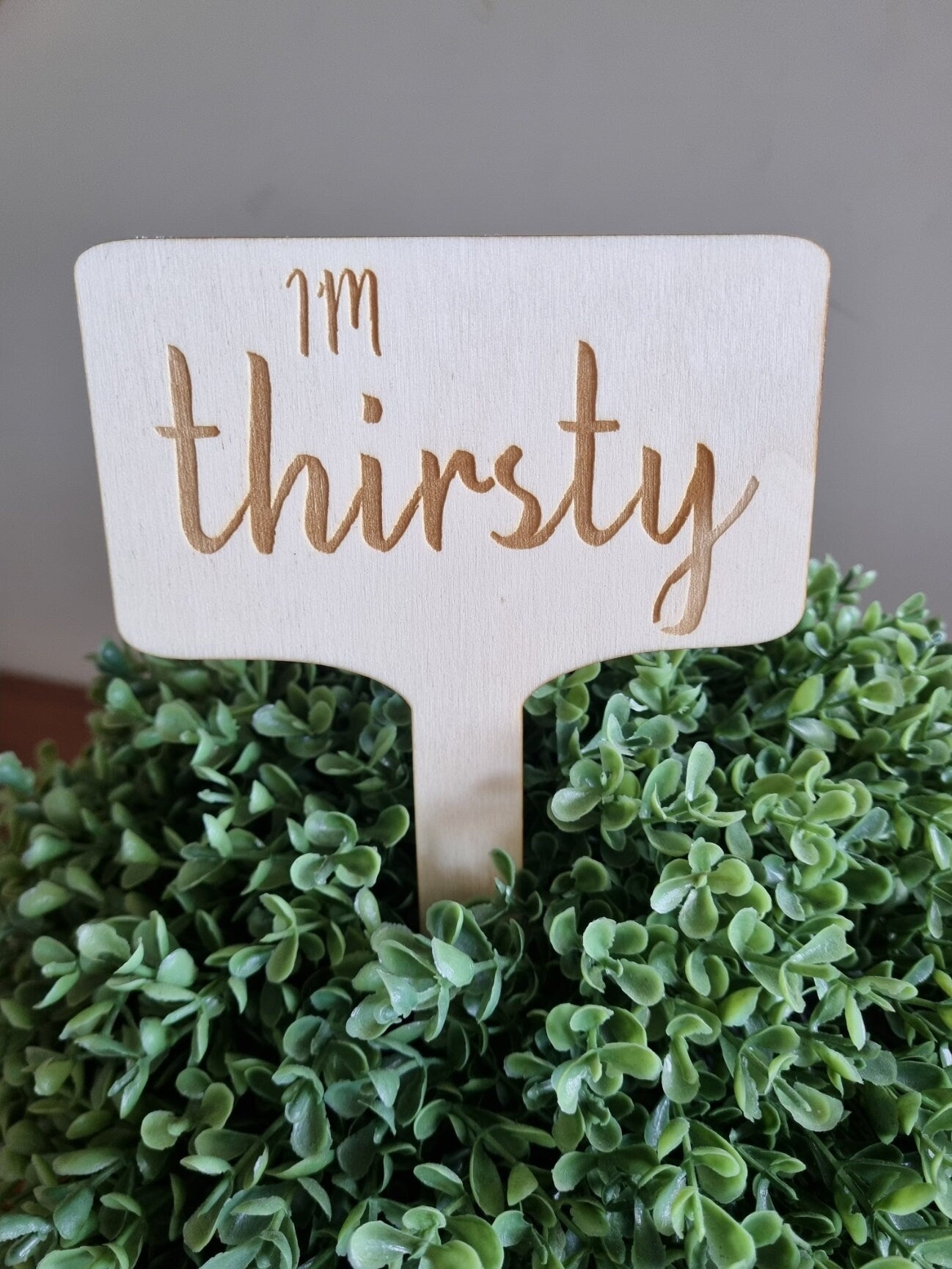 Wooden plant sign with the words &quot;I&#39;m thirsty&quot; engraved