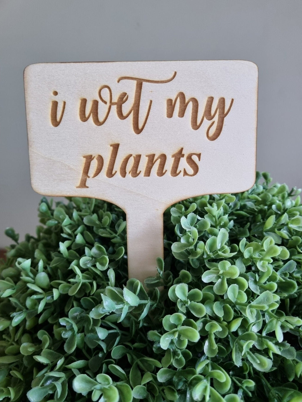 Wooden plant sign with the words &quot;I wet my plants&quot; engraved