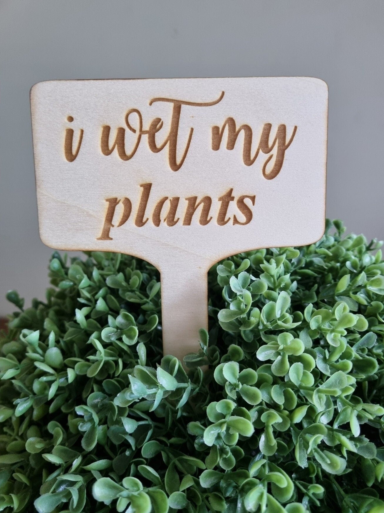 Wooden plant sign with the words &quot;I wet my plants&quot; engraved