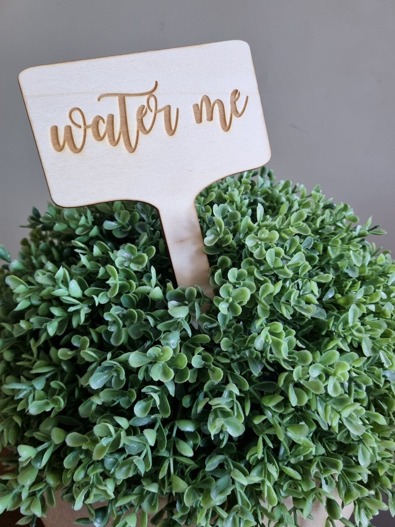 Wooden plant sign with the words &quot;water me&quot; engraved
