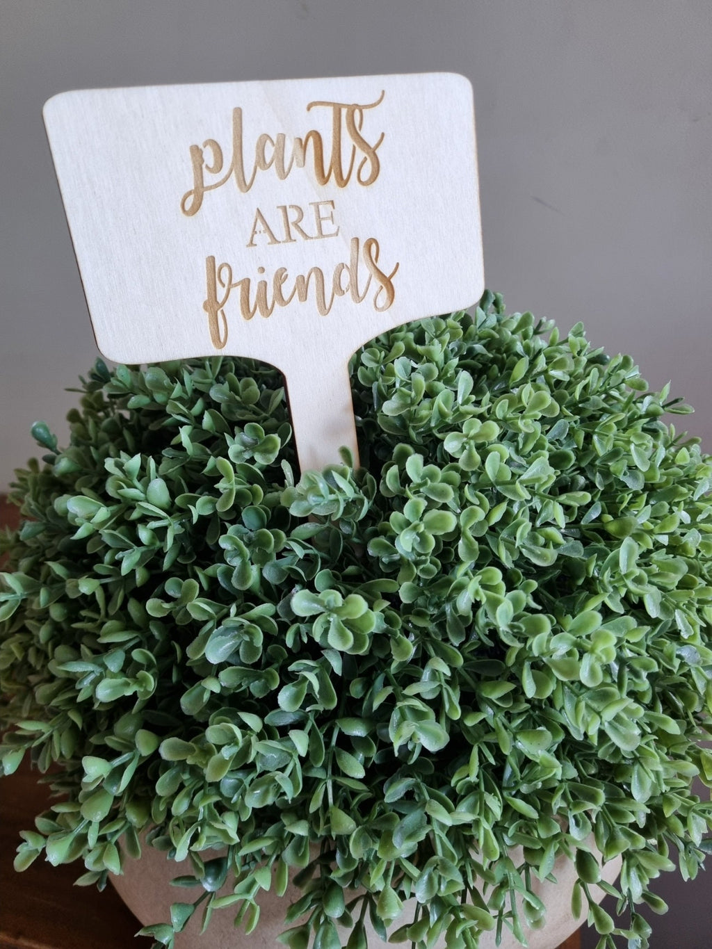 Wooden plant sign with the words &quot;plants are friends&quot; engraved