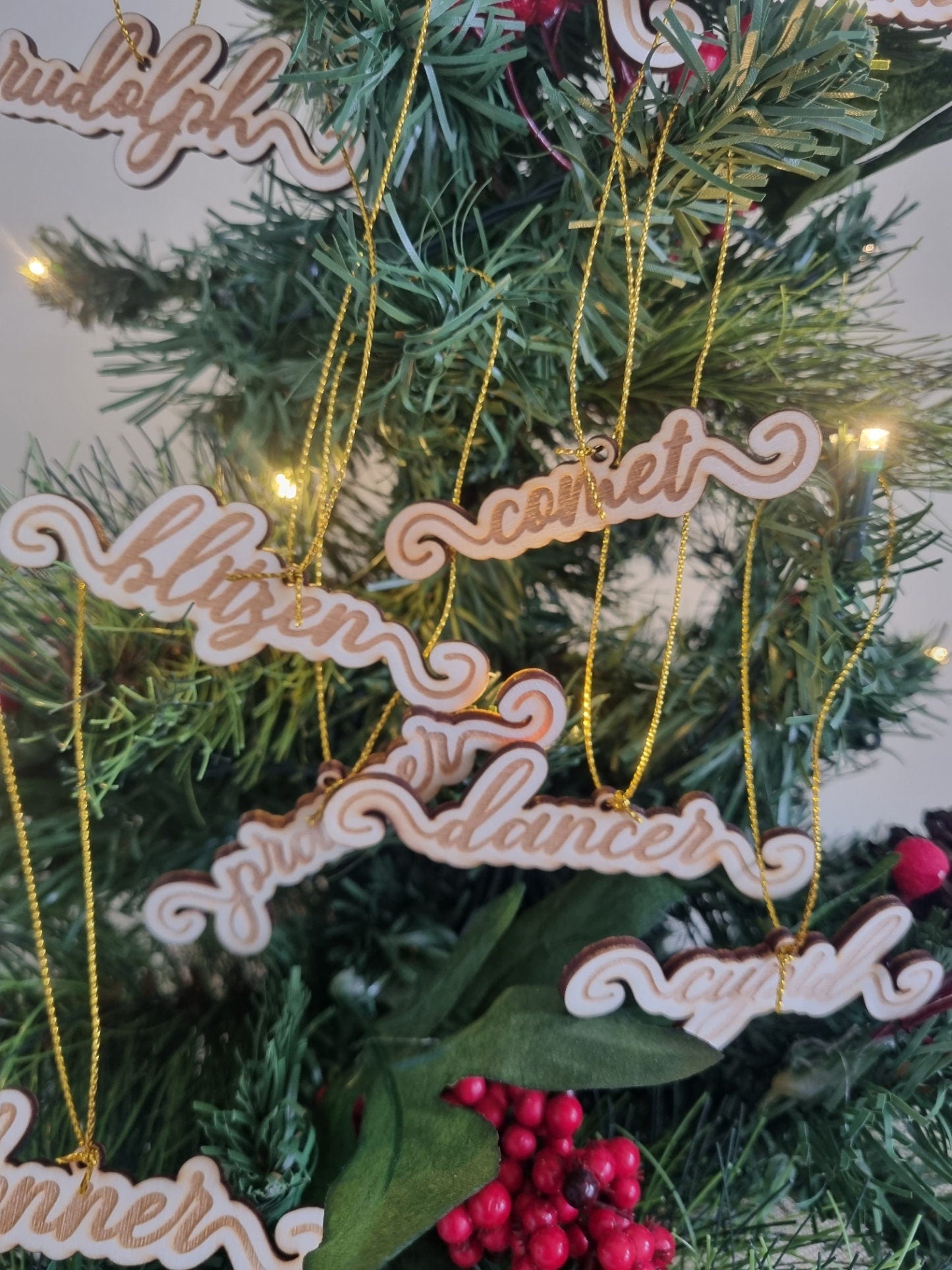 Reindeer Name Ornament Set of 9, Christmas Gift, Tree Decorations