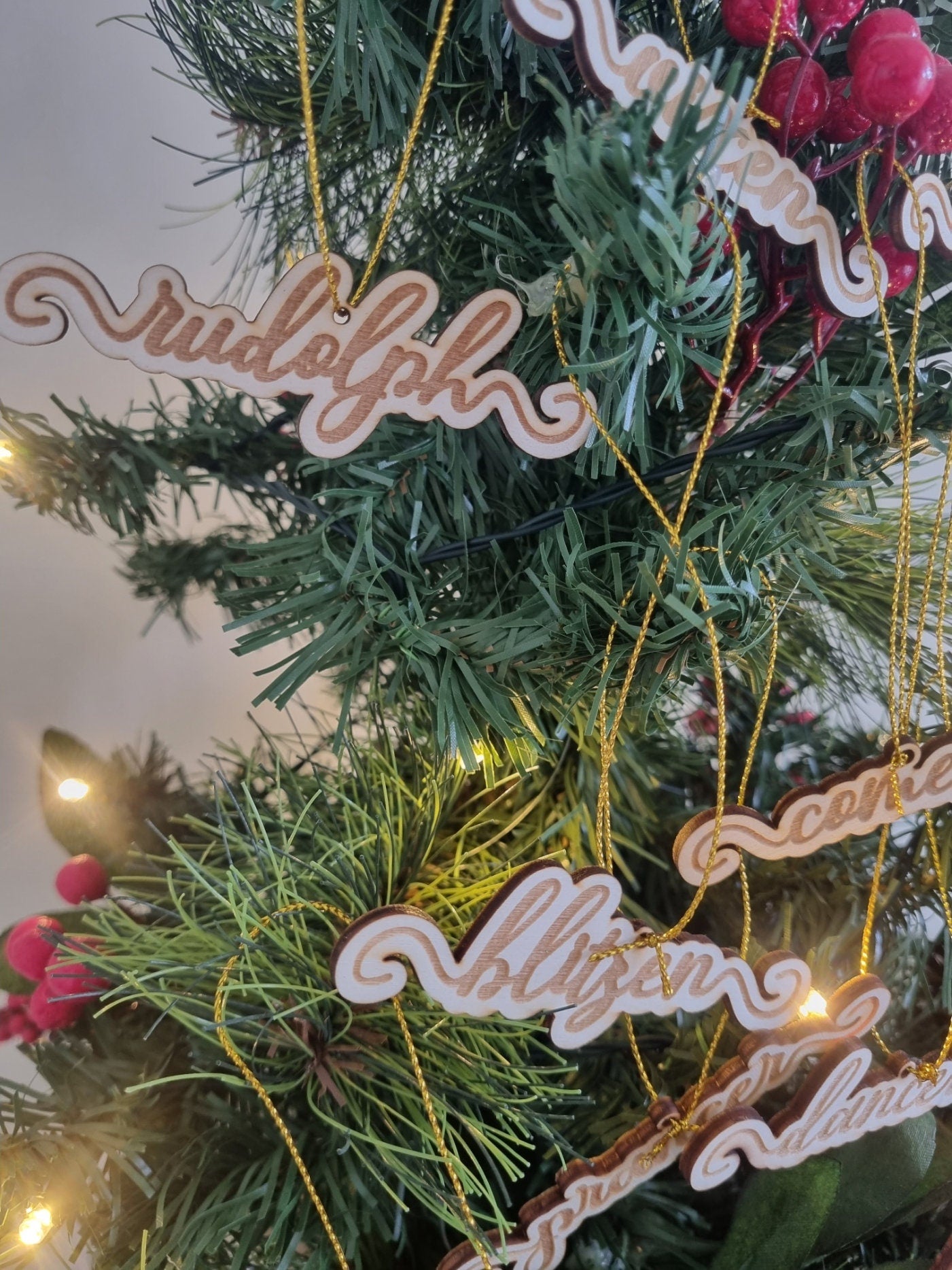 Reindeer Name Ornament Set of 9, Christmas Gift, Tree Decorations