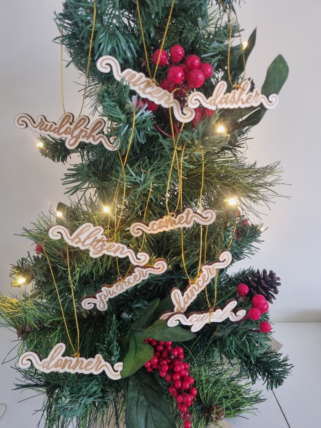 Reindeer Name Ornament Set of 9, Christmas Gift, Tree Decorations