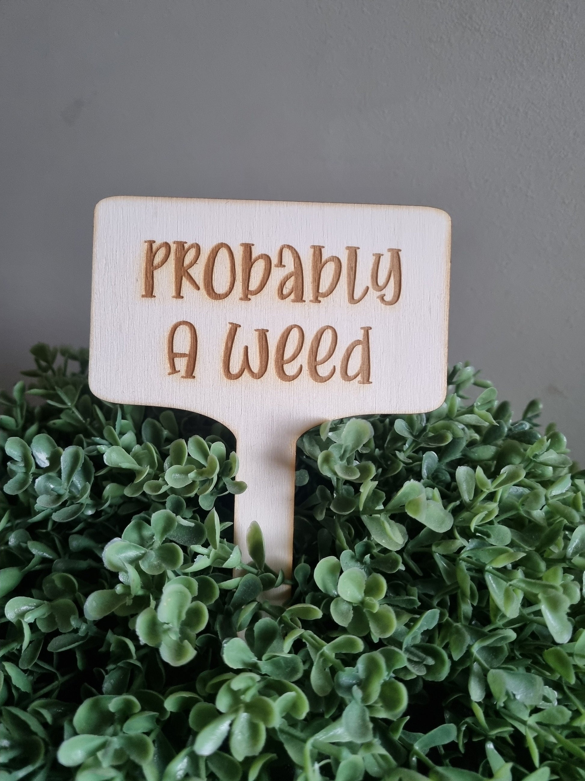 Vegetable Garden Signs, Herb Garden Signs, Funny Garden Decoration, Eco-Friendly Indoor Plant Signs