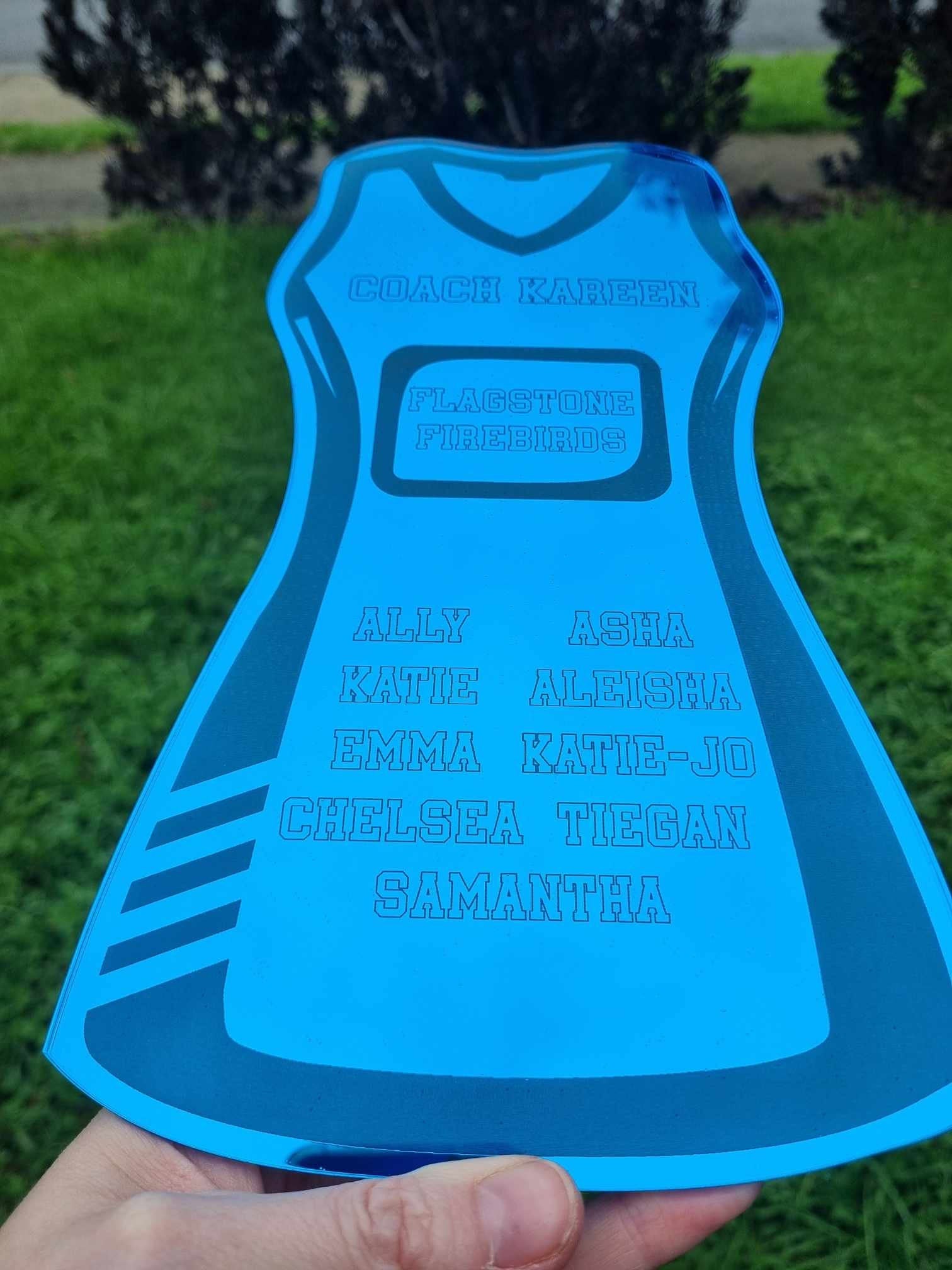 Netball Coach Gift, Coach Plaque, Netball Team Gift, Netball Player Gift