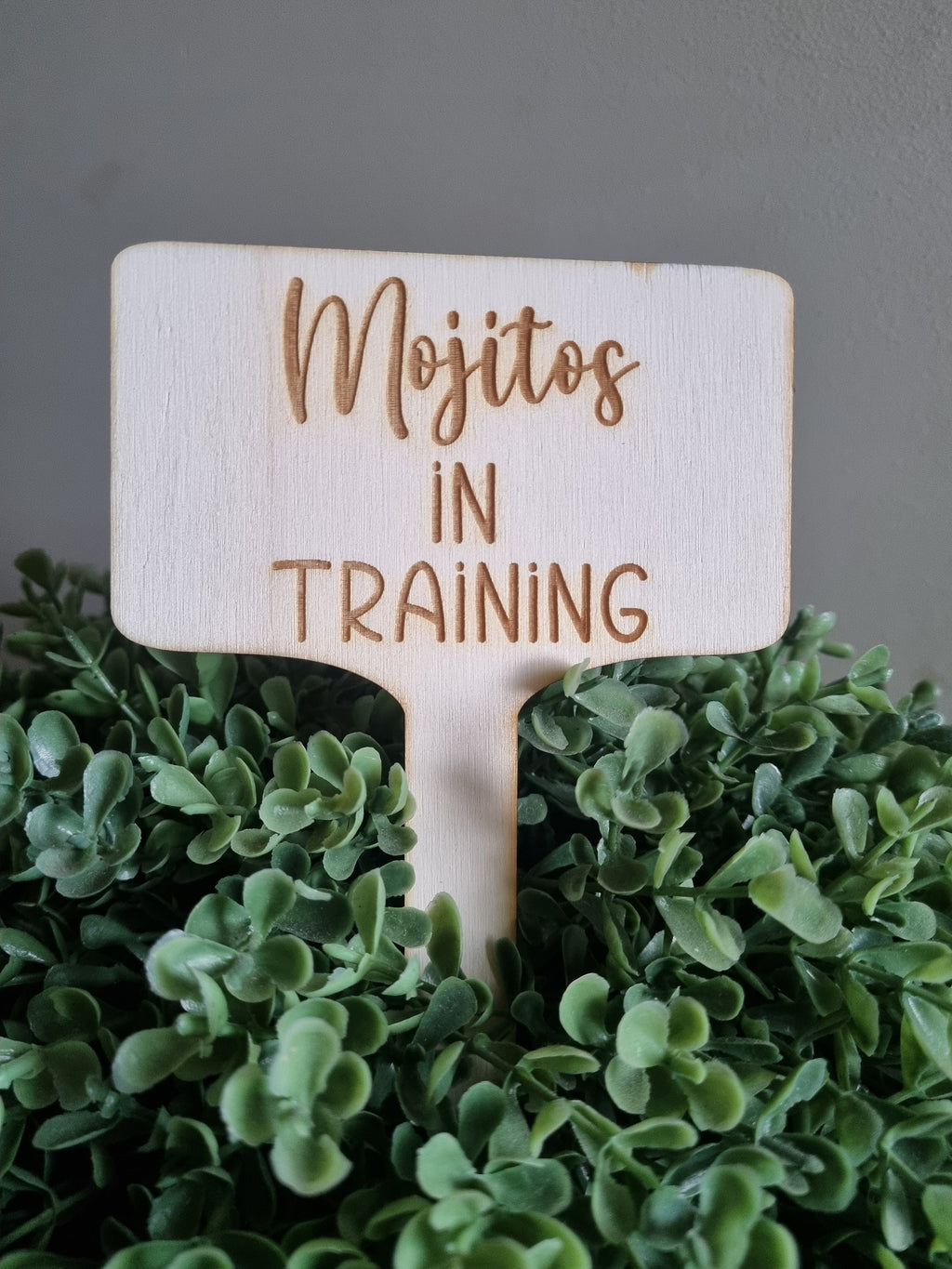Vegetable Garden Signs, Herb Garden Signs, Funny Garden Decoration, Eco-Friendly Indoor Plant Signs