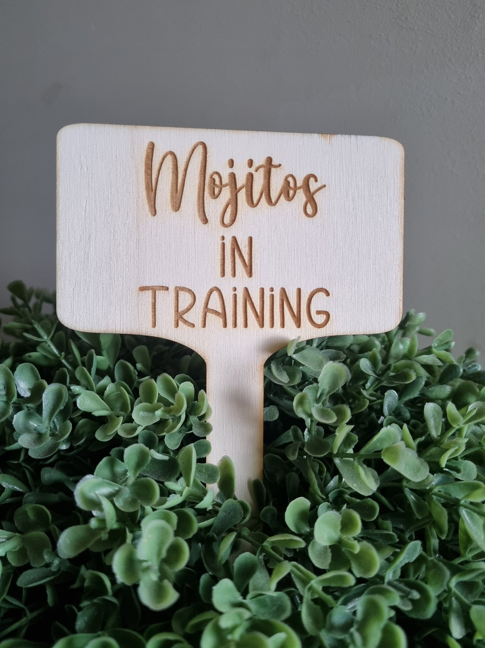 Vegetable Garden Signs, Herb Garden Signs, Funny Garden Decoration, Eco-Friendly Indoor Plant Signs