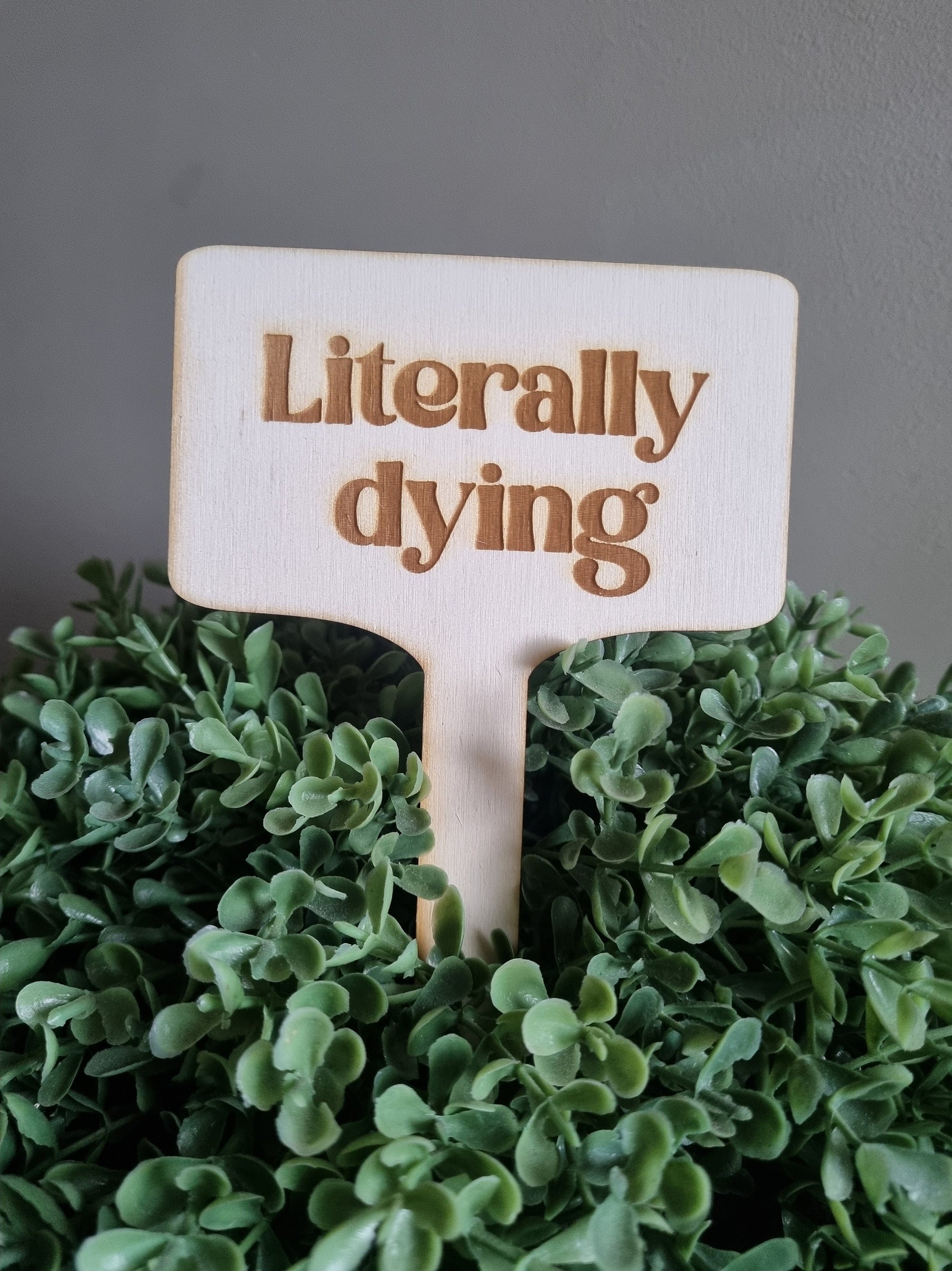 Vegetable Garden Signs, Herb Garden Signs, Funny Garden Decoration, Eco-Friendly Indoor Plant Signs