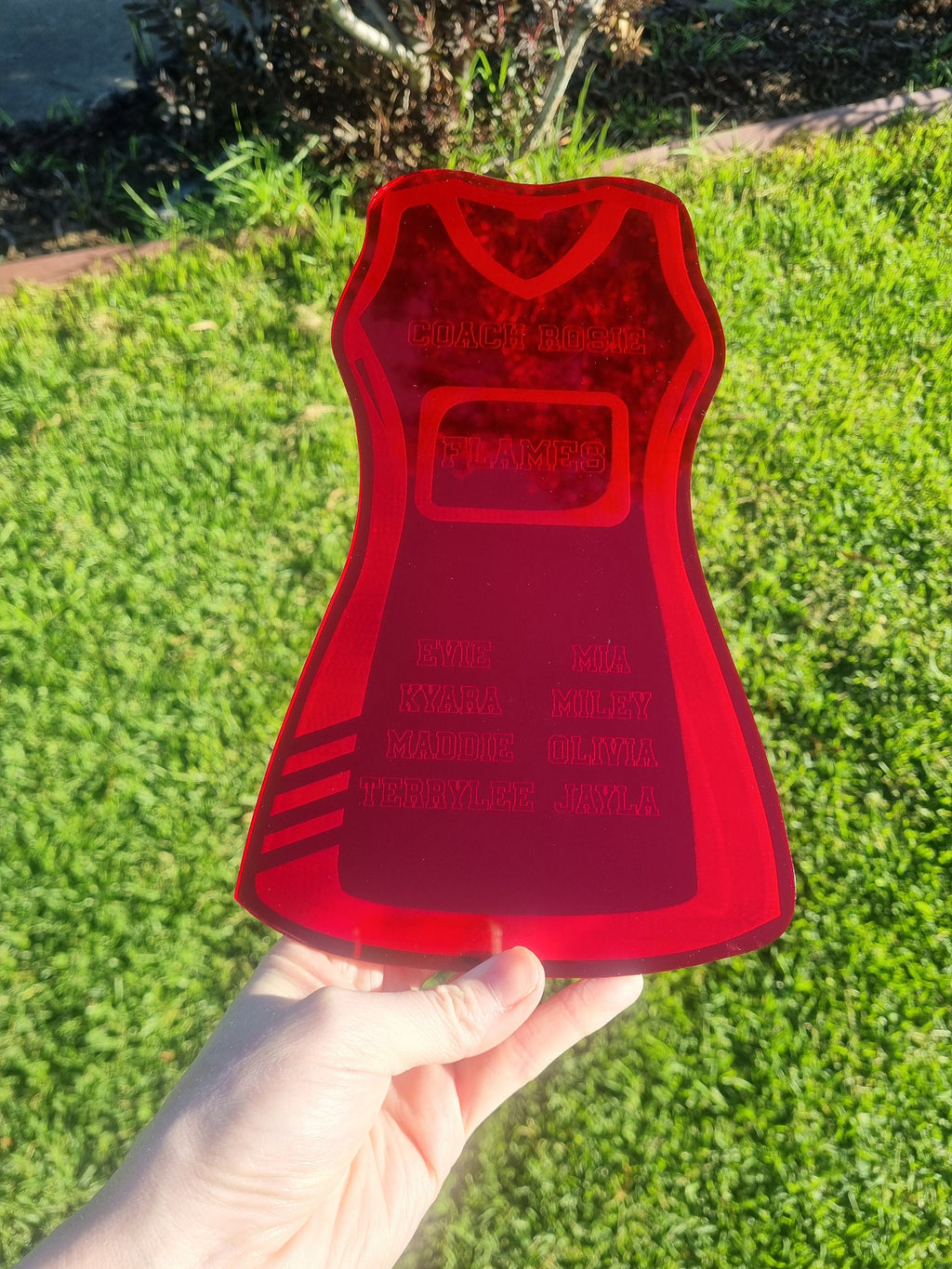 Netball Coach Gift, Coach Plaque, Netball Team Gift, Netball Player Gift
