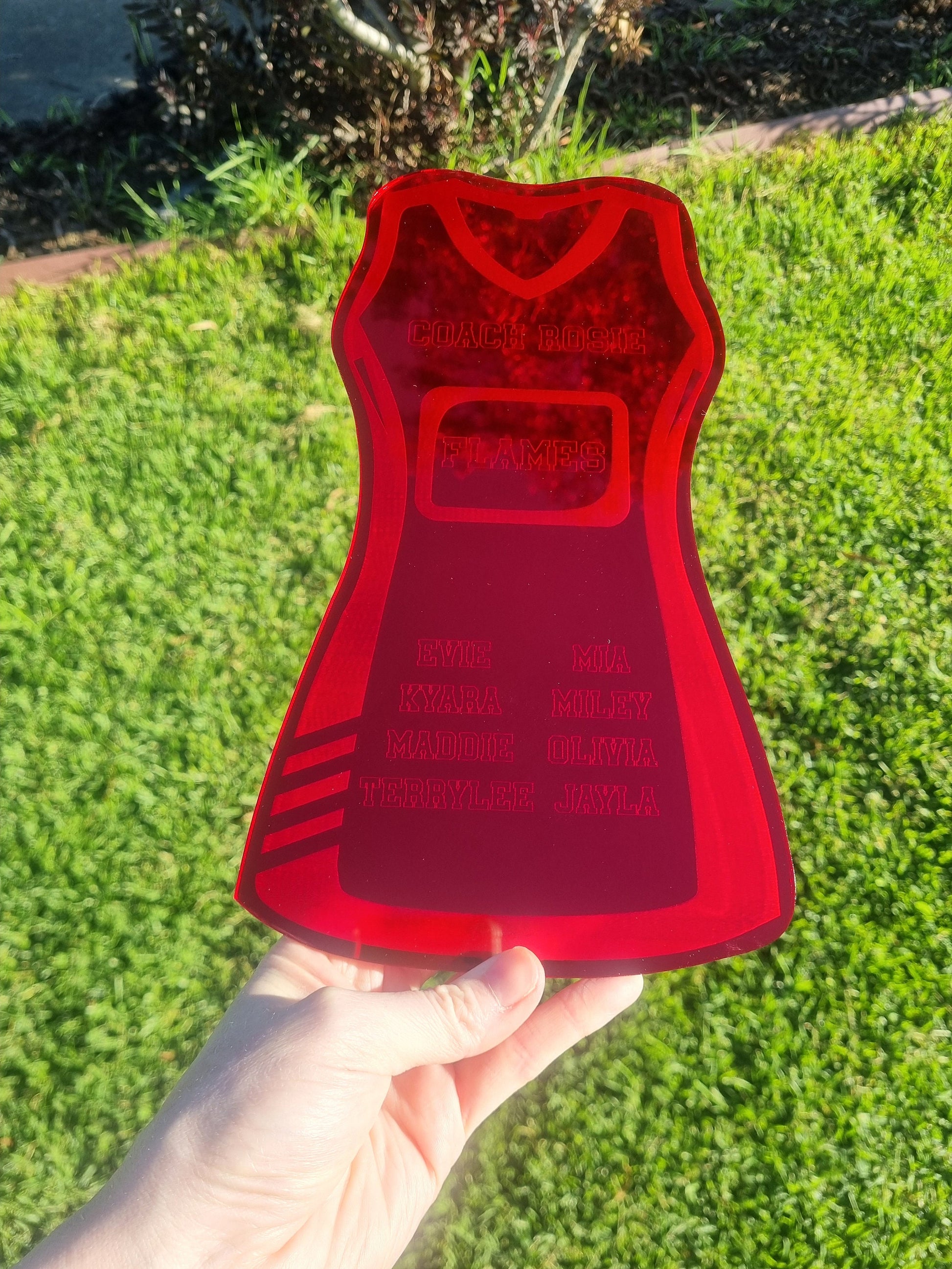 Netball Coach Gift, Coach Plaque, Netball Team Gift, Netball Player Gift