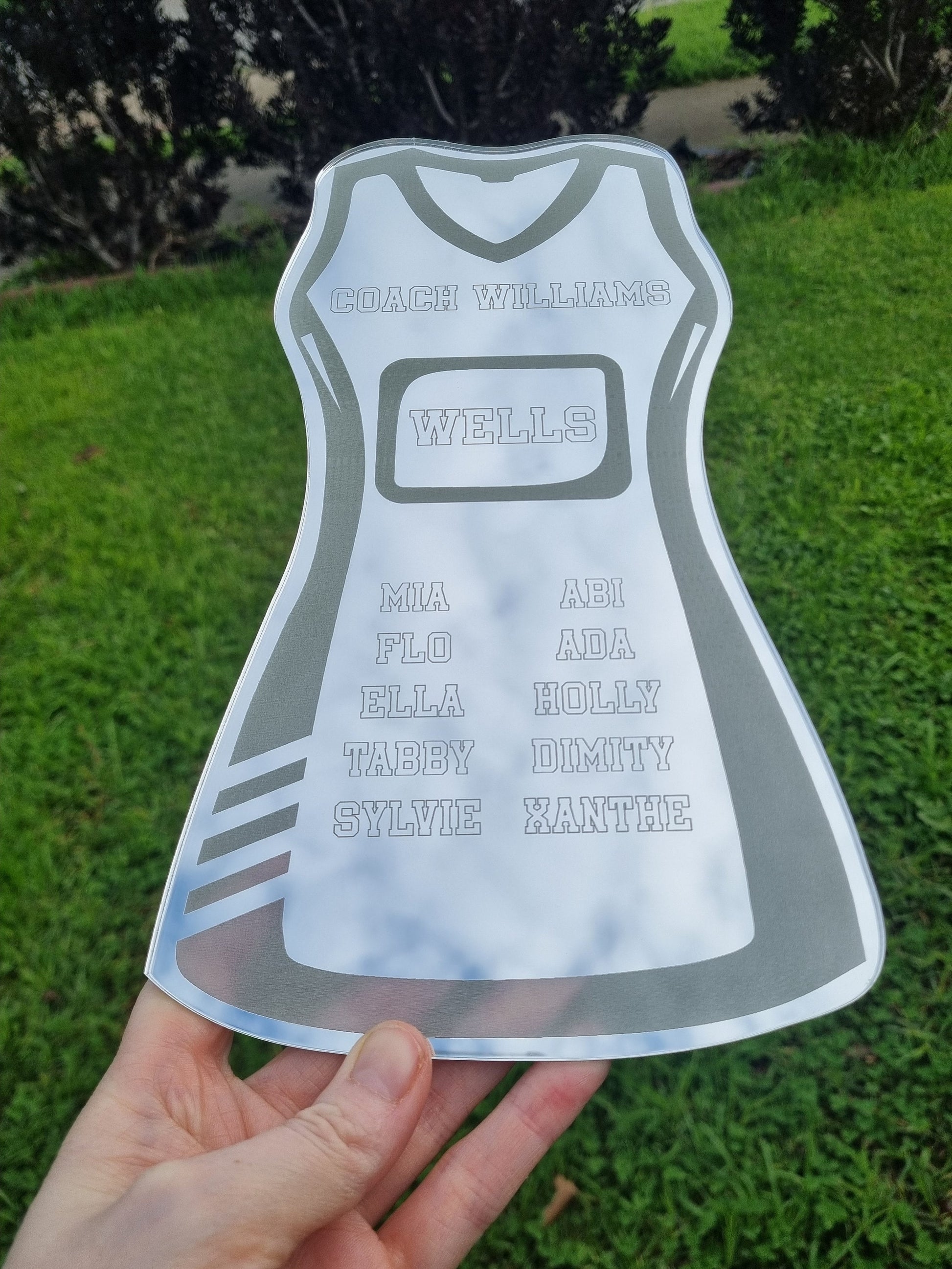 Netball Coach Gift, Coach Plaque, Netball Team Gift, Netball Player Gift
