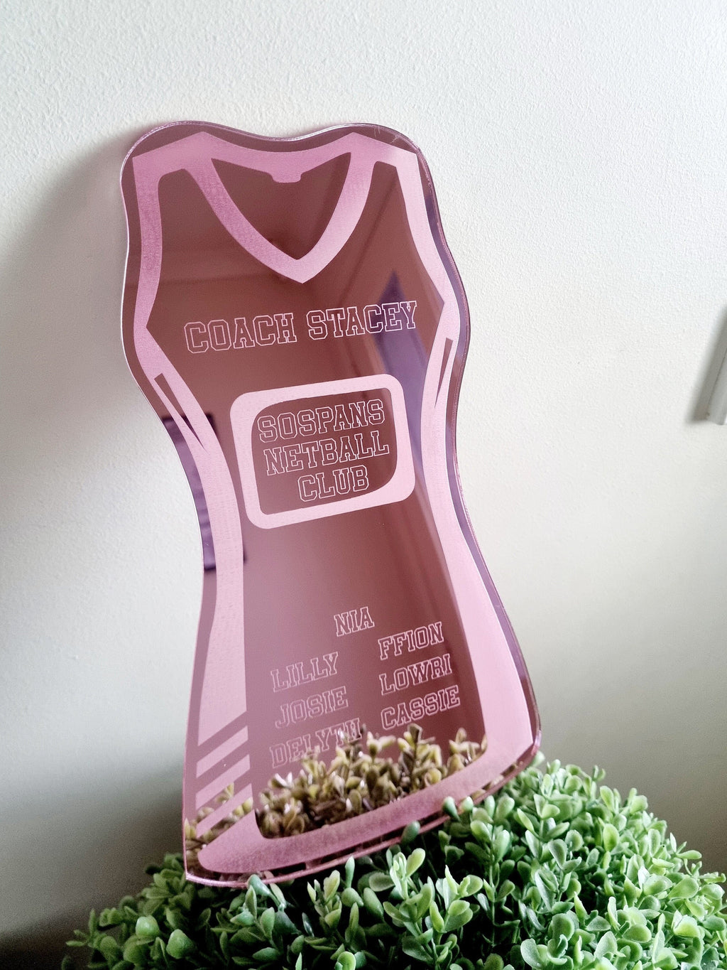 Netball Coach Gift, Coach Plaque, Netball Team Gift, Netball Player Gift