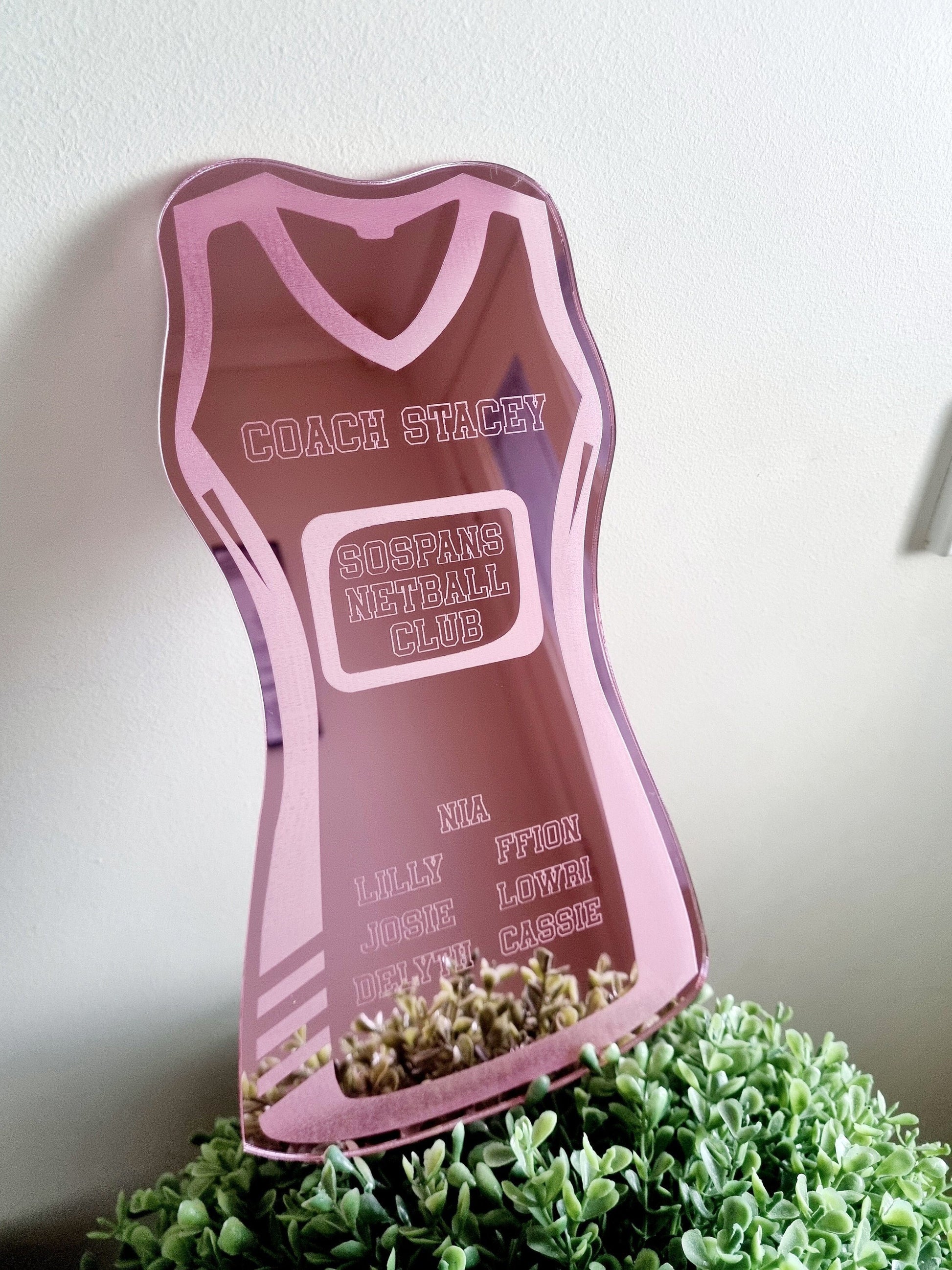 Netball Coach Gift, Coach Plaque, Netball Team Gift, Netball Player Gift
