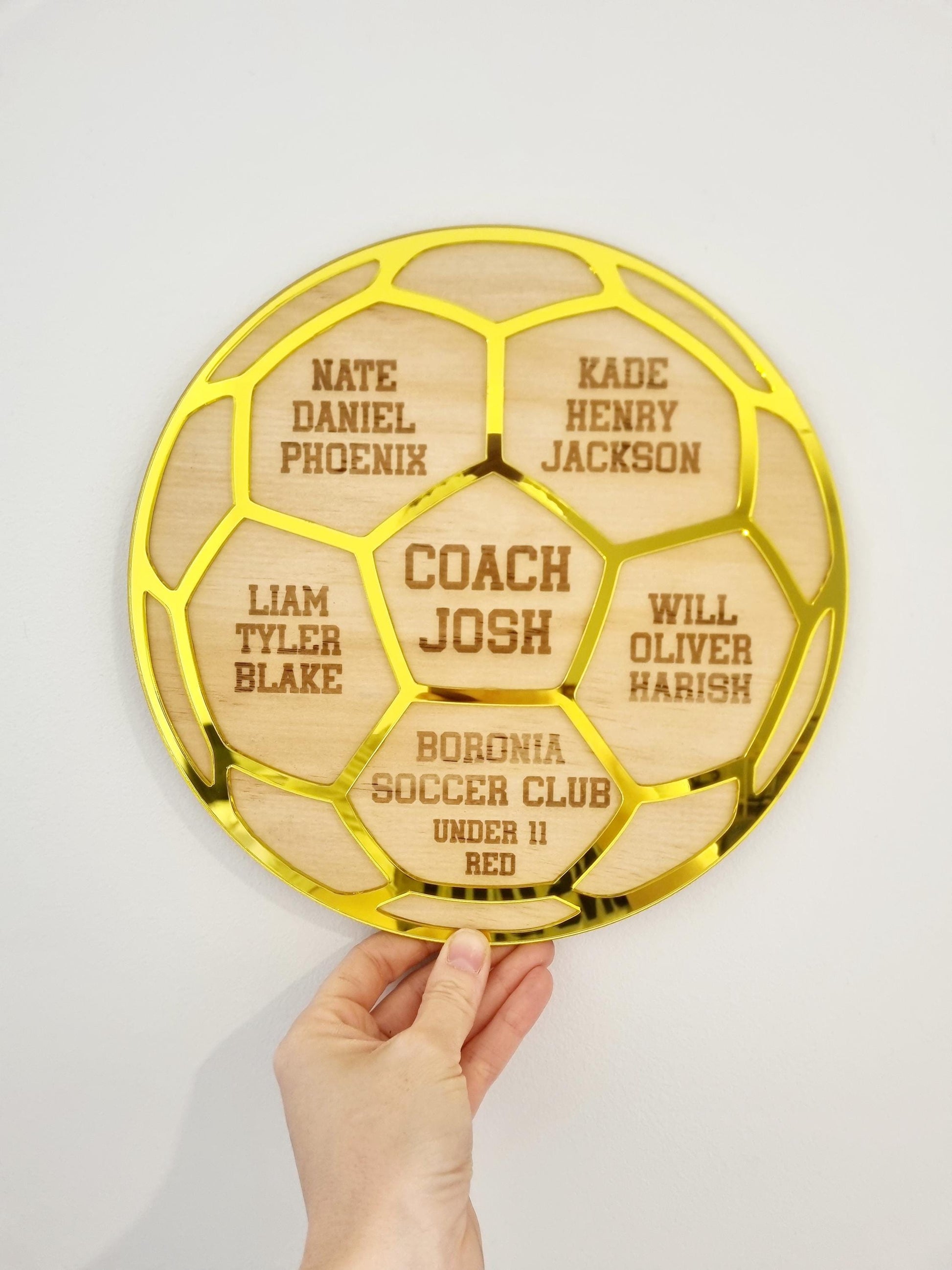 Soccer Coach Gift Plaque, Unique Football Coach Appreciation Present from the Team, Team Gift