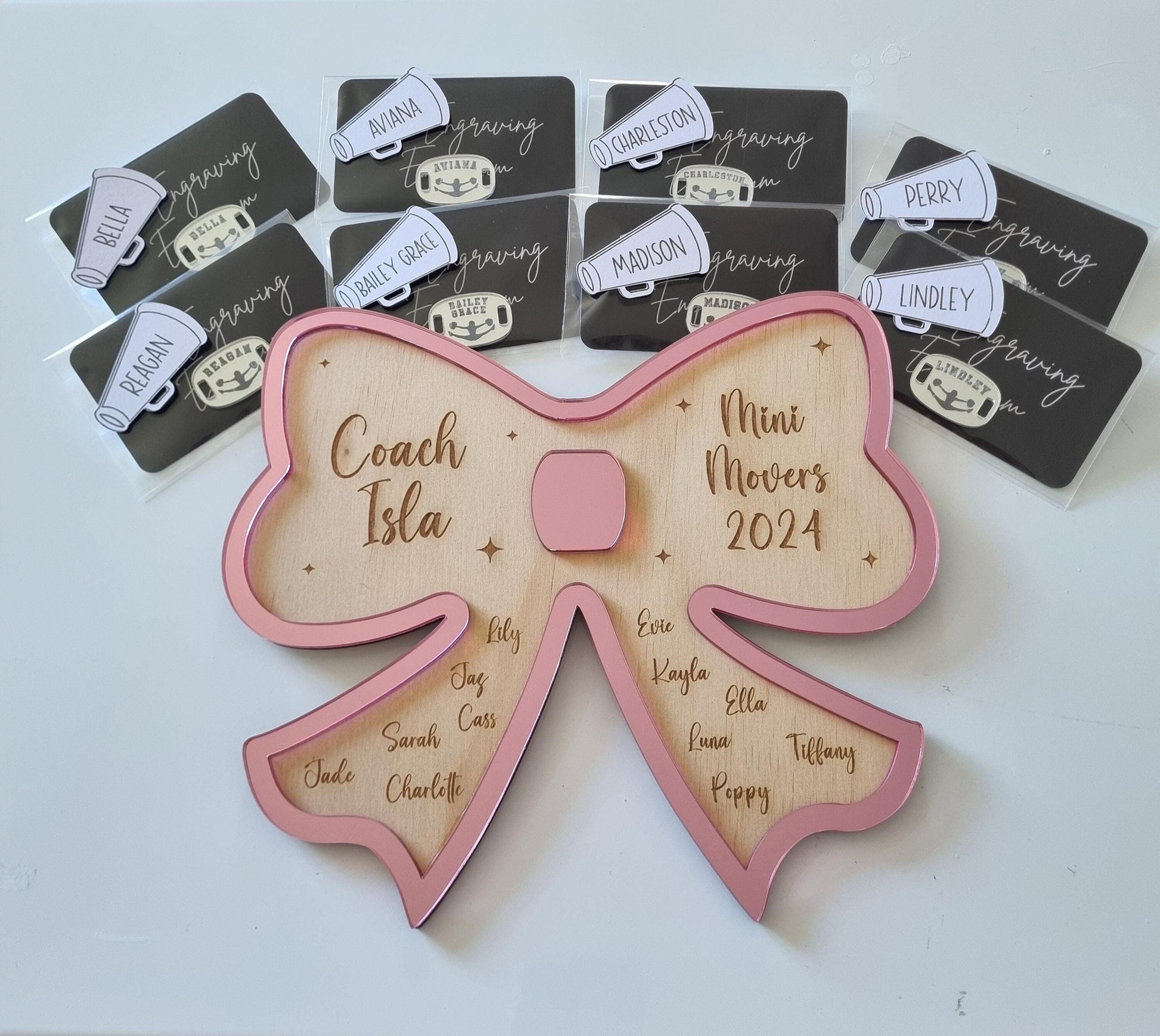 Cheer Coach and Team Gift Set - Custom Cheer Plaque, Stand, Custom Cheer Shoe Tags, Dance Teacher